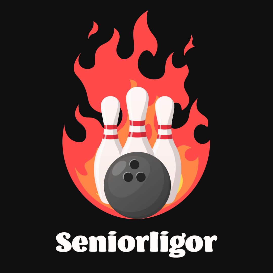 Seniorligor